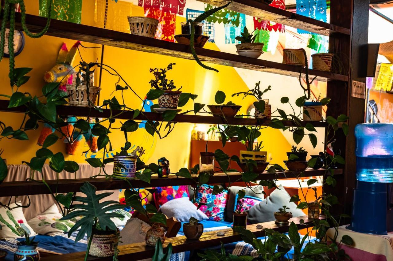 Hostal Pochon Oaxaca Exteriér fotografie