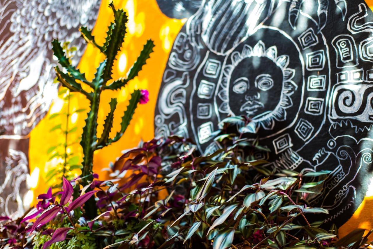 Hostal Pochon Oaxaca Exteriér fotografie